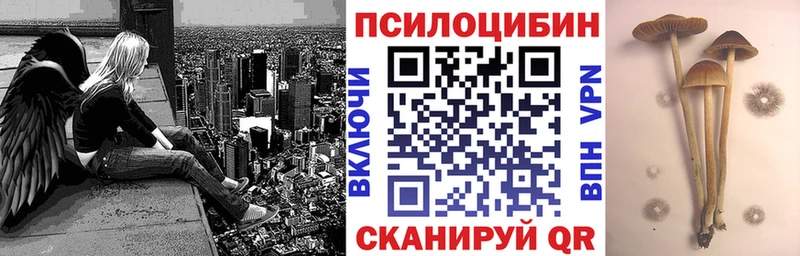 Галлюциногенные грибы Cubensis  Калтан 